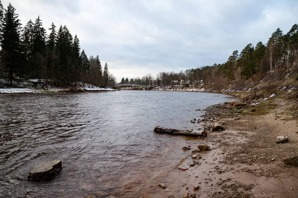 Mountain floden på sommaren omges av skog — Stockfoto