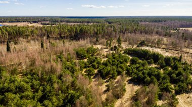 Drone görüntü. alanları ve ormanları ile kırsal bölgenin havadan görünümü