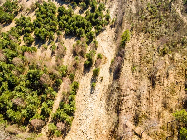 Зображення безпілотника. повітряний вид на сільську місцевість з полями та лісами — стокове фото