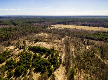 Drone görüntü. alanları ve ormanları ile kırsal bölgenin havadan görünümü