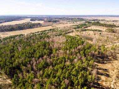 Drone görüntü. alanları ve ormanları ile kırsal bölgenin havadan görünümü