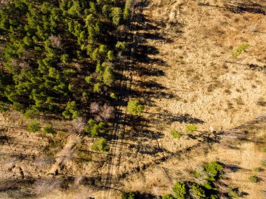 Drone görüntü. alanları ve ormanları ile kırsal bölgenin havadan görünümü