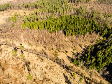 Drone görüntü. alanları ve ormanları ile kırsal bölgenin havadan görünümü