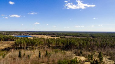 Drone görüntü. alanları ve ormanları ile kırsal bölgenin havadan görünümü