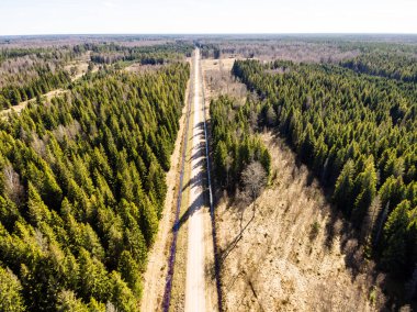 Drone görüntü. kırsal alan ile orman yolu havadan görünümü
