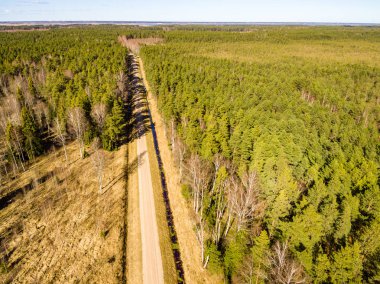 Drone görüntü. alanları ve ormanları ile kırsal bölgenin havadan görünümü