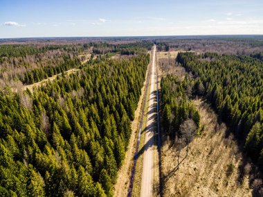 Drone görüntü. kırsal alan ile orman yolu havadan görünümü