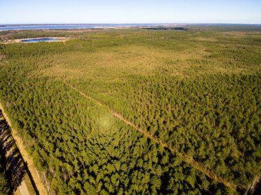 Drone görüntü. alanları ve ormanları ile kırsal bölgenin havadan görünümü