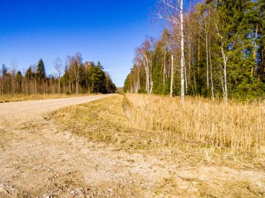 Drone görüntü. kırsal alan ile orman yolu havadan görünümü