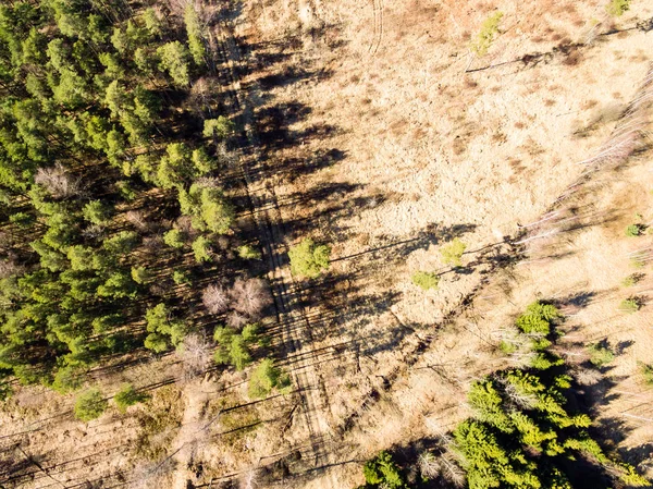 드 론 이미지입니다. 농촌 지역 필드와 숲의 항공 보기 — 스톡 사진