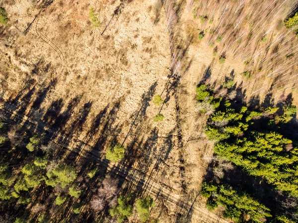 无人机图像。农村地区的田野和森林的鸟瞰图 — 图库照片