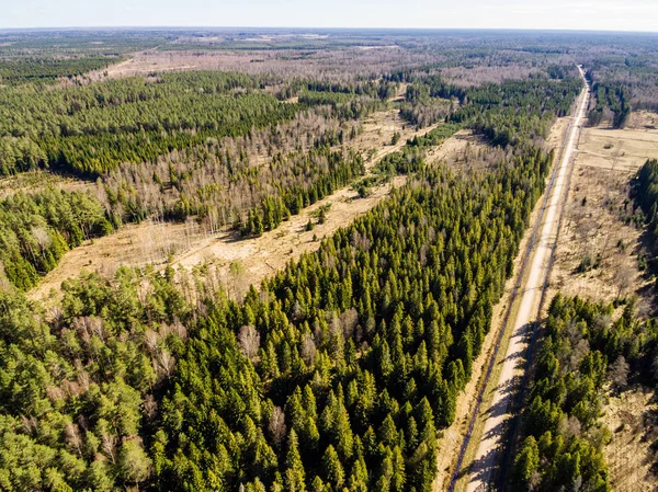 Drone bild. Flygfoto över landsbygden med skogsväg — Stockfoto