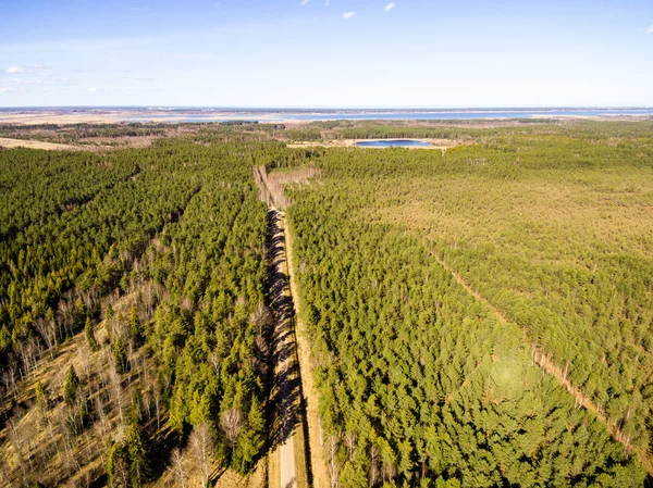 Drone kép. a légi felvétel a vidéki térség erdei út — Stock Fotó