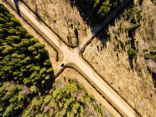 Изображение дрона. вид с воздуха на сельскую местность с лесной дорогой — стоковое фото