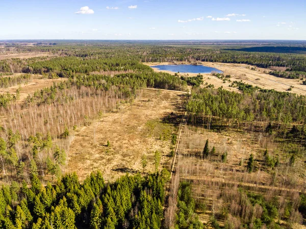 Drone kép. a légi felvétel a vidék, a mezők és erdők — Stock Fotó