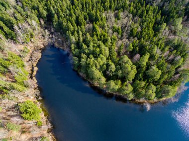 Drone görüntü. Orman Gölü ile kırsal bölgenin havadan görünümü