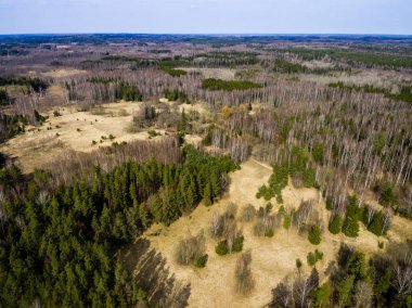 Drone görüntü. Orman Gölü ile kırsal bölgenin havadan görünümü