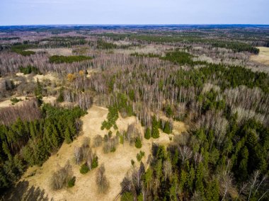 Drone görüntü. Orman Gölü ile kırsal bölgenin havadan görünümü