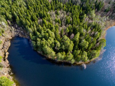 Drone görüntü. Orman Gölü ile kırsal bölgenin havadan görünümü