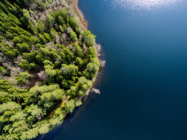 Drone görüntü. Orman Gölü ile kırsal bölgenin havadan görünümü