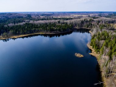 Drone görüntü. Orman Gölü ile kırsal bölgenin havadan görünümü