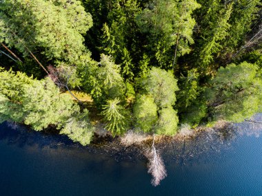 Drone görüntü. Orman Gölü ile kırsal bölgenin havadan görünümü