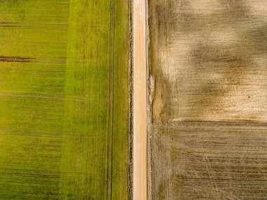 Drone görüntü. taze yeşil alanları ile kırsal bölgenin havadan görünümü