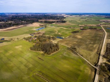 Drone görüntü. taze yeşil alanları ile kırsal bölgenin havadan görünümü