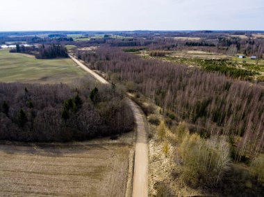 Drone görüntü. taze yeşil alanları ile kırsal bölgenin havadan görünümü