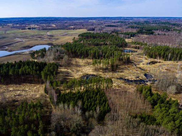 Drone image. aerial view of rural area with forest lake — Stock Photo, Image