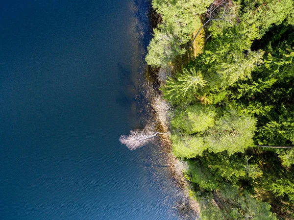 Imagem de drone. vista aérea da área rural com lago florestal — Fotografia de Stock