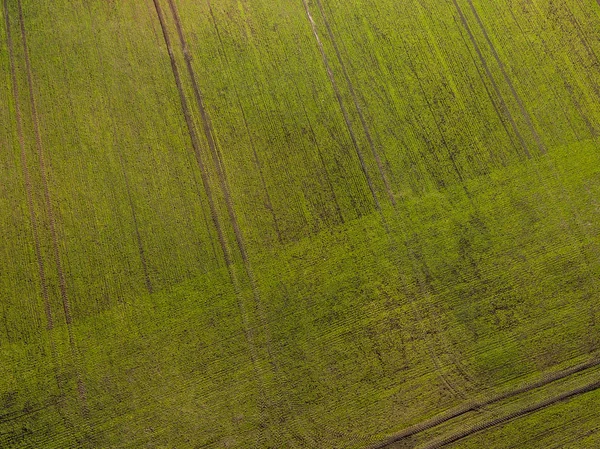 ドローンのイメージ。新鮮な緑のフィールドと農村地域の航空写真 — ストック写真