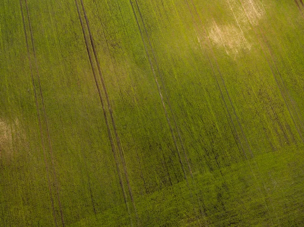 Imagen del dron. Vista aérea de la zona rural con campos recién verdes —  Fotos de Stock