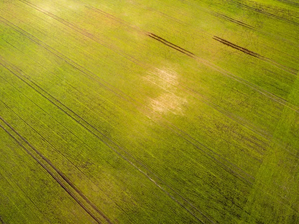 Drone kép. a légi felvétel a vidéki térség frissen zöld mezők — Stock Fotó