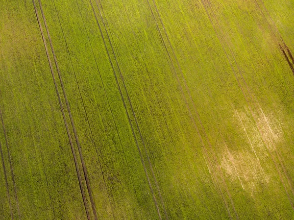 ドローンのイメージ。新鮮な緑のフィールドと農村地域の航空写真 — ストック写真