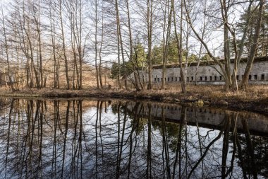 Göl su ağaçlarda yansımaları