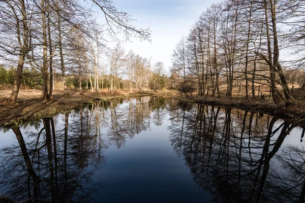 Reflections of trees in the lake water — Stock Photo, Image