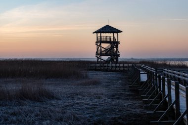 sabah erken bir kuş izle kule ile ahşap tahta
