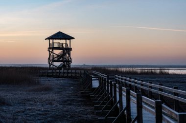 sabah erken bir kuş izle kule ile ahşap tahta