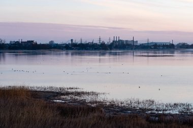 kuşlar gölde gündoğumu içinde iç içe geçirme