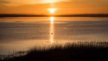 ülke göl üzerinde güzel gündoğumu