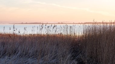 kuşlar gölde gündoğumu içinde iç içe geçirme