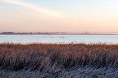 kuşlar gölde gündoğumu içinde iç içe geçirme