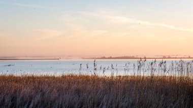 kuşlar gölde gündoğumu içinde iç içe geçirme