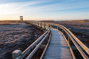 sabah erken bir kuş izle kule ile ahşap tahta