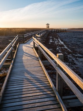 sabah erken bir kuş izle kule ile ahşap tahta