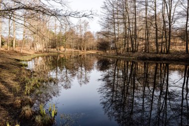 Göl su ağaçlarda yansımaları