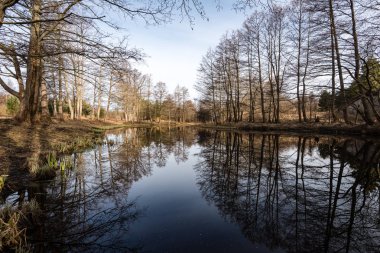 Göl su ağaçlarda yansımaları