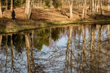 Göl su ağaçlarda yansımaları