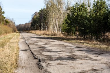 Orman boş ülkede yol